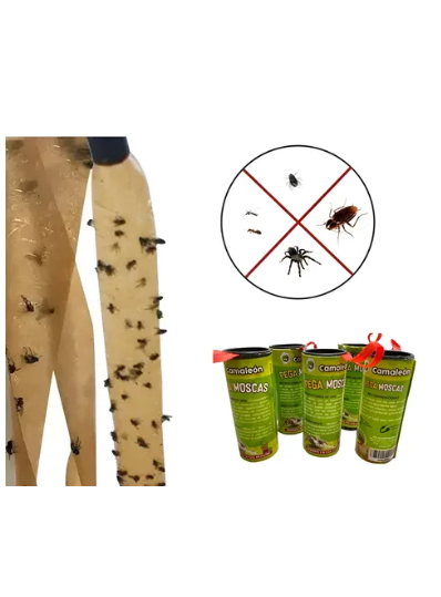 ATRAPA MOSCAS 