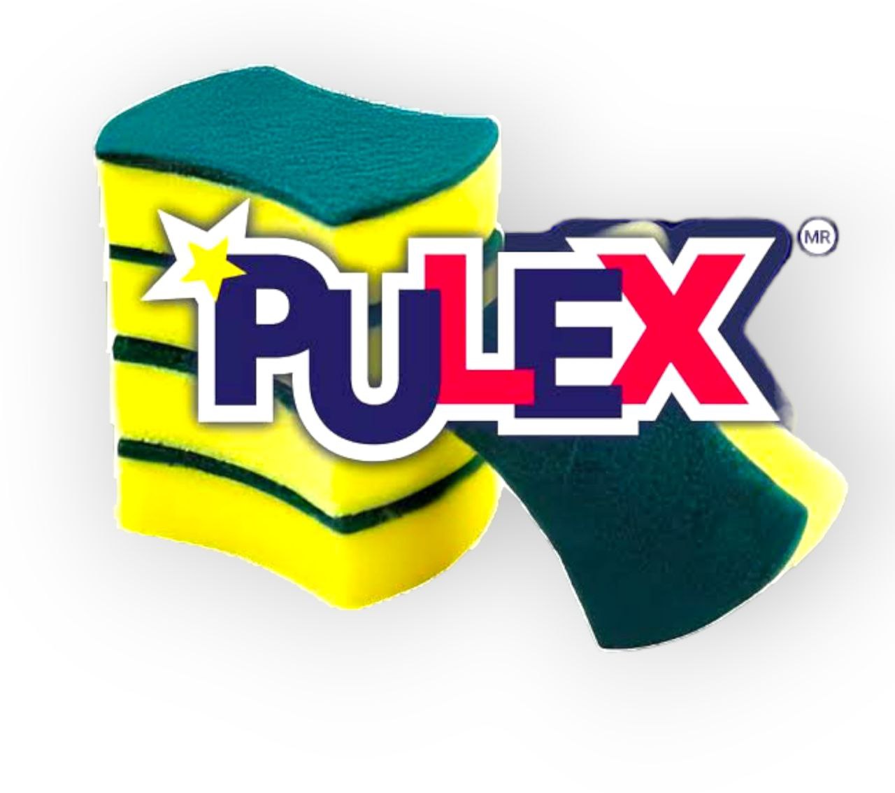 ESPONJA PULEX DOBLE USO